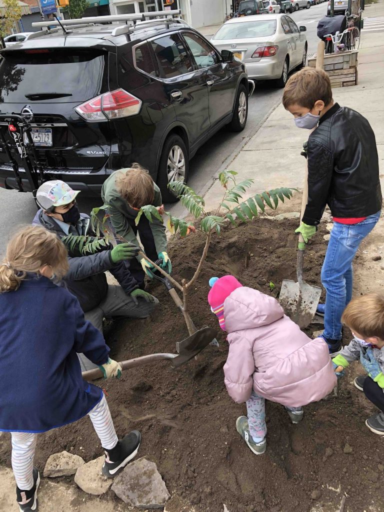 Children and an adult shoveling dirt and planting a tree in an empty tree bed on a sidewalk in Red Hook, Brooklyn.